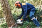 Sandy Point VICtree-cutting-services-21.jpg; ?>